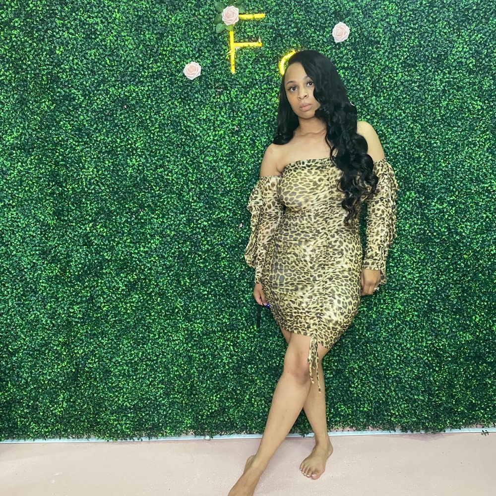 Leopard See Through Off The Shoulder Dress
